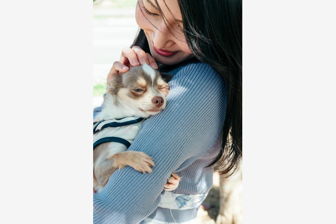 ポートレート沖縄が撮影した「ペット撮影」の写真