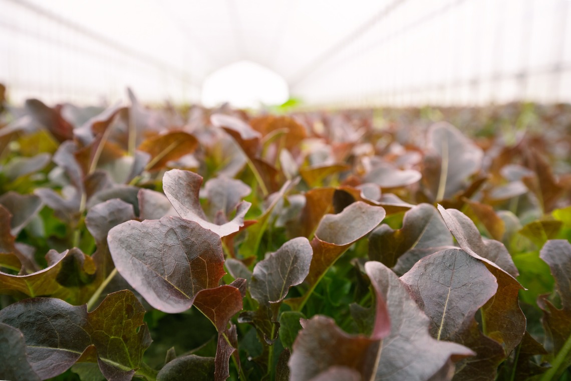 出張撮影TLaboが撮影した「求人用　職場風景の撮影」の写真