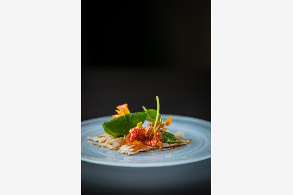 𠮷岡銀河が撮影した写真のアルバム「料理撮影」