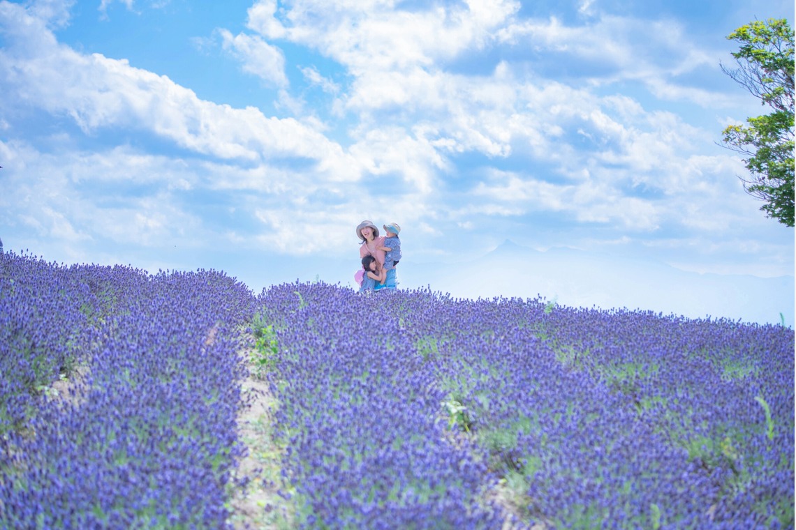 北海道ロケーションフォトウェディング♪が撮影した「富良野ラベンダー畑でファミリー旅行記念撮影」の写真