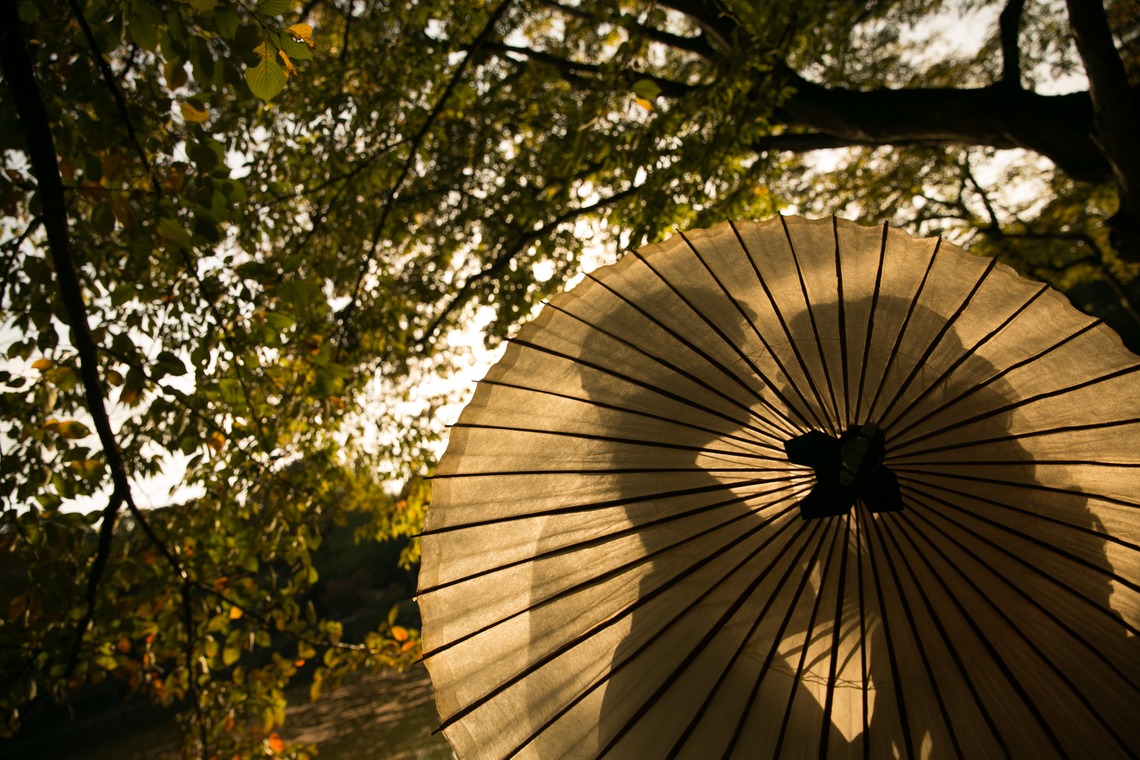 Photo of  taken by studio zero