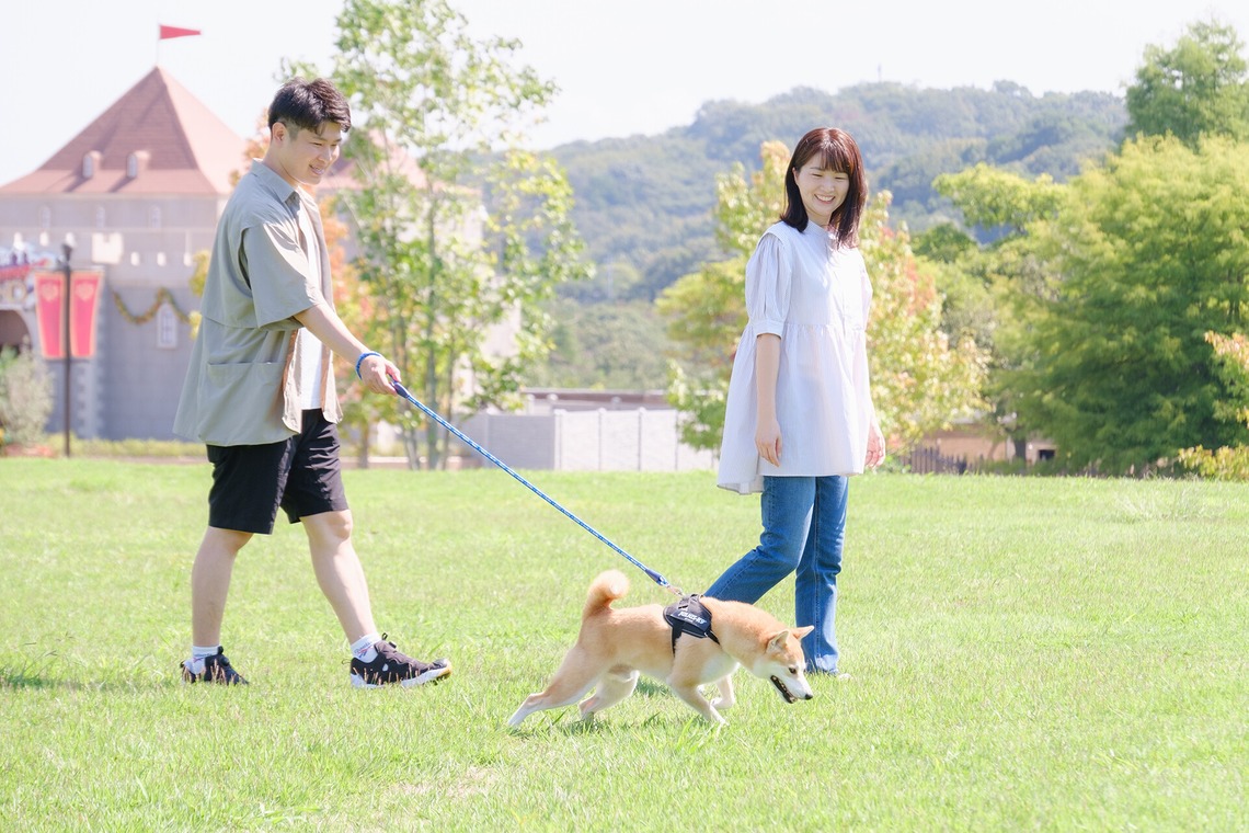 Album of the Engagement Photography taken by 高夏写真店 - couple photo shoot