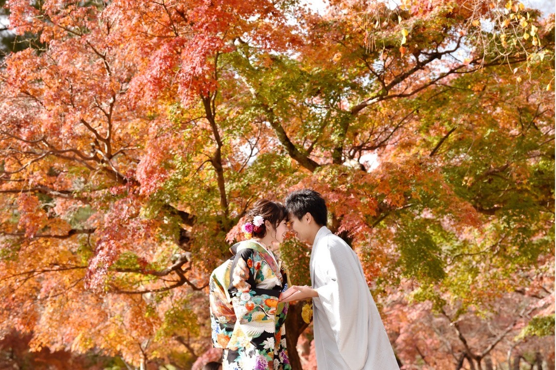 Photo of Pre Weddingphotoshoot at Nara with kimono in autumn to winter taken by Kiki photo works