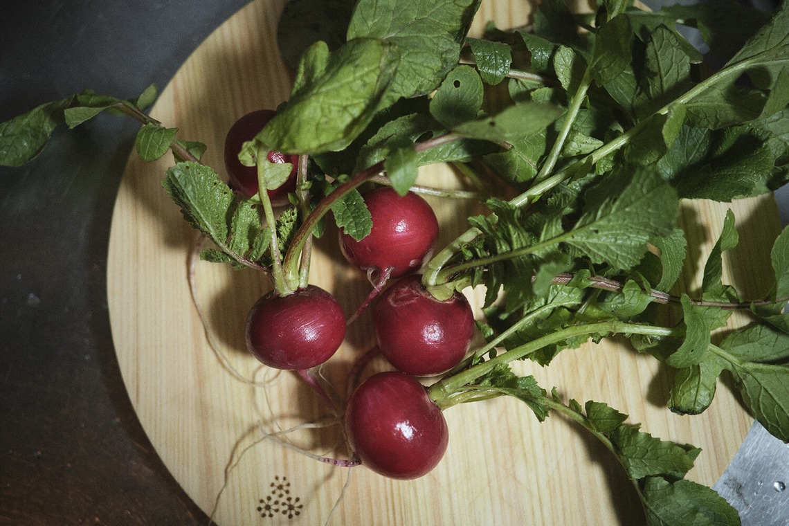 濱田茉里が撮影した写真のアルバム「料理」