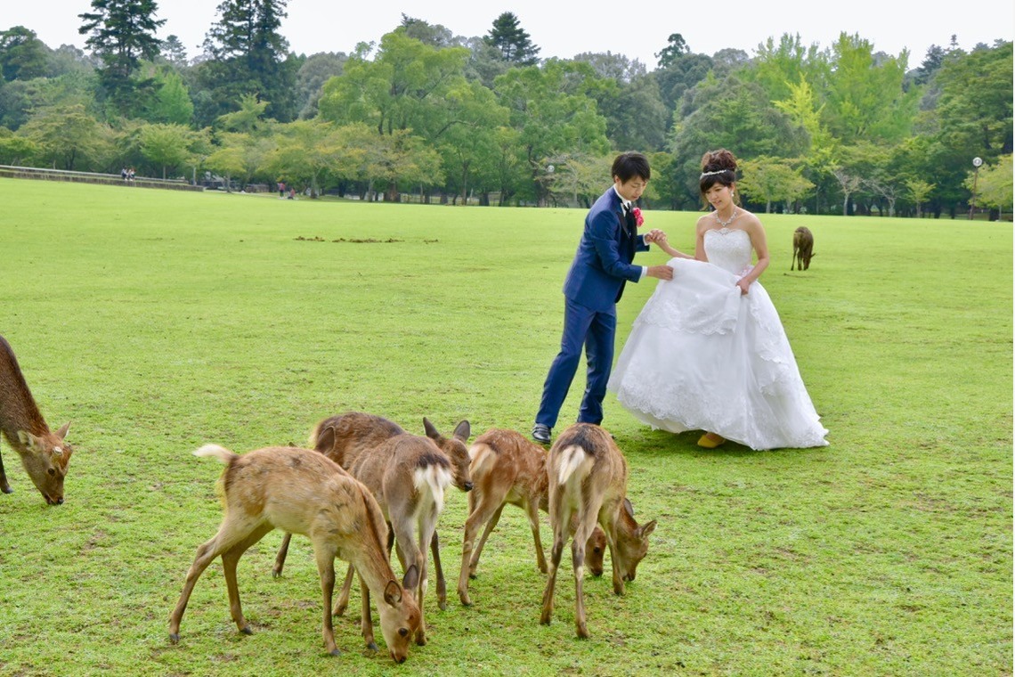 Album of the Wedding, Bridal taken by Kiki photo works - Pre Weddingphotoshoot at Nara
