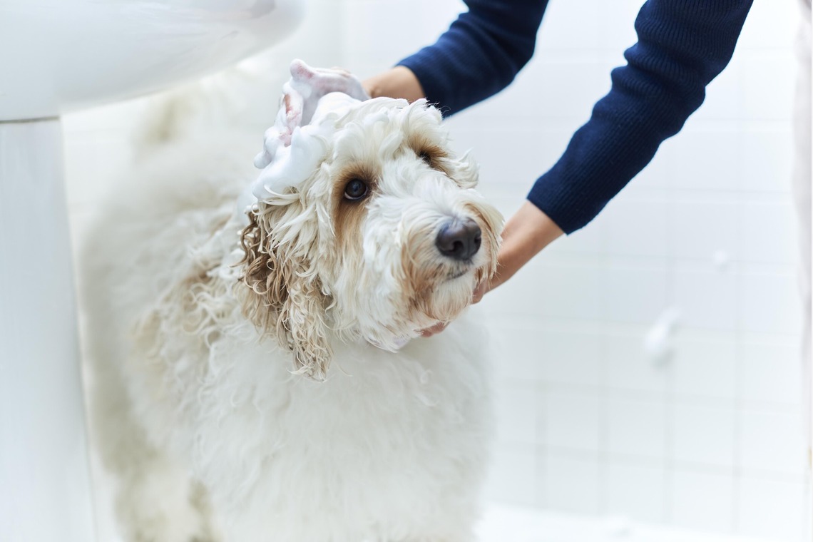 大橋裕紀が撮影した「企業様ホームページ用商品撮影」の写真