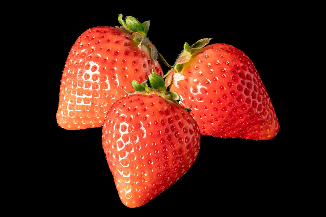 岩坪眞一郎が撮影した「商品または作品」の写真