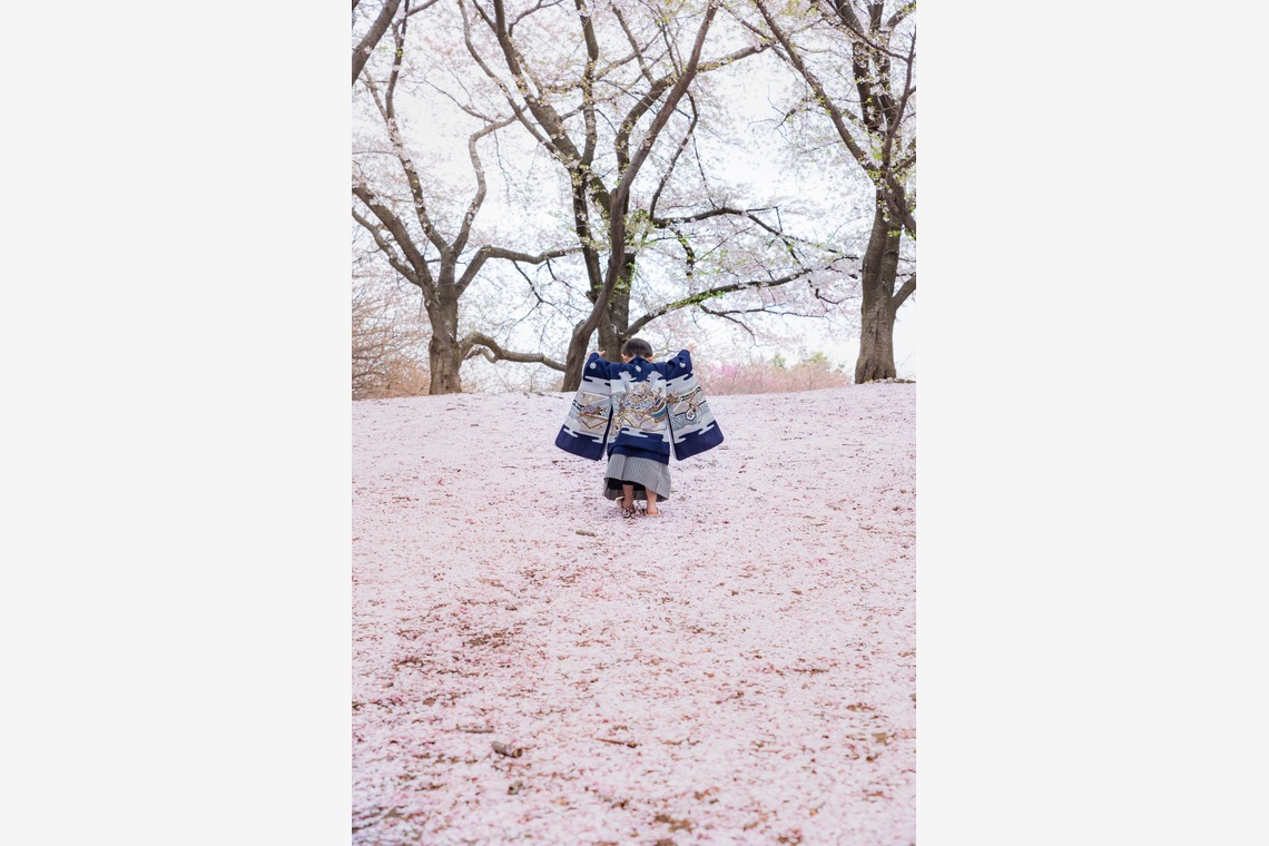 maimaiCameraが撮影した写真のアルバム「着物撮影事例」