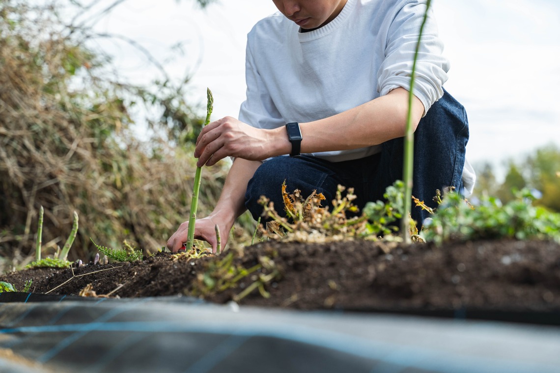 oryo studioが撮影した「記事」の写真