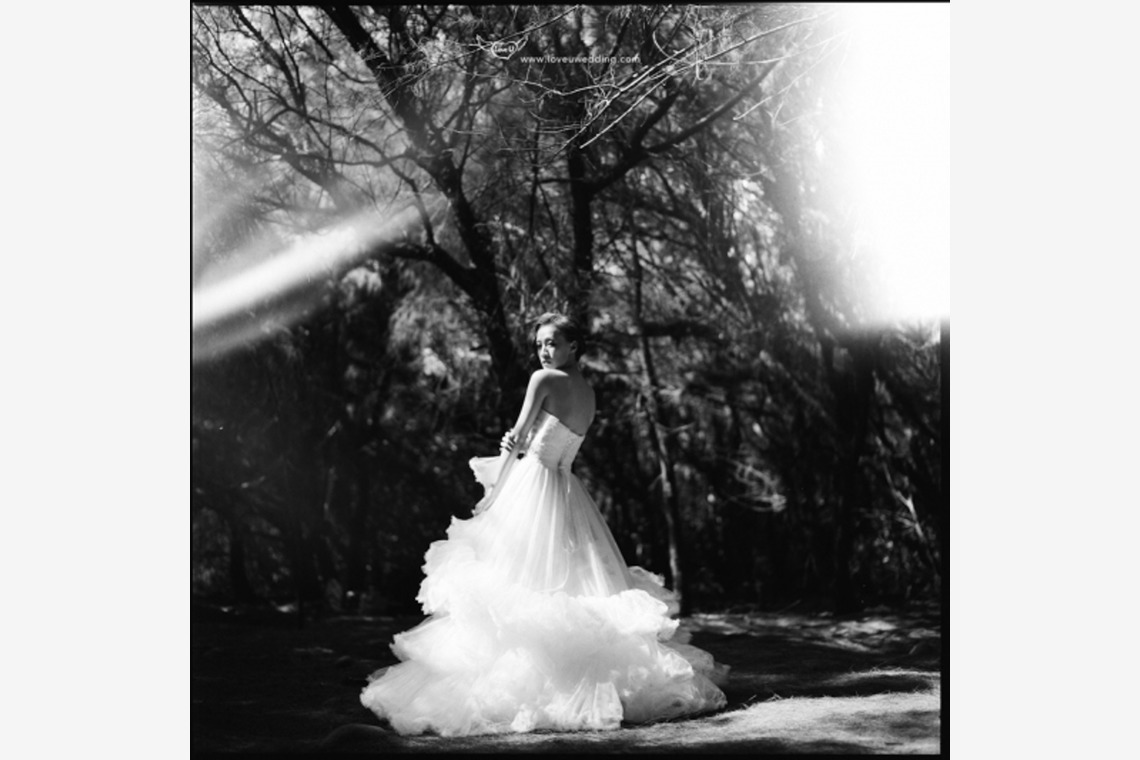 Trust photoが撮影した「台湾のKentingの場所」の写真