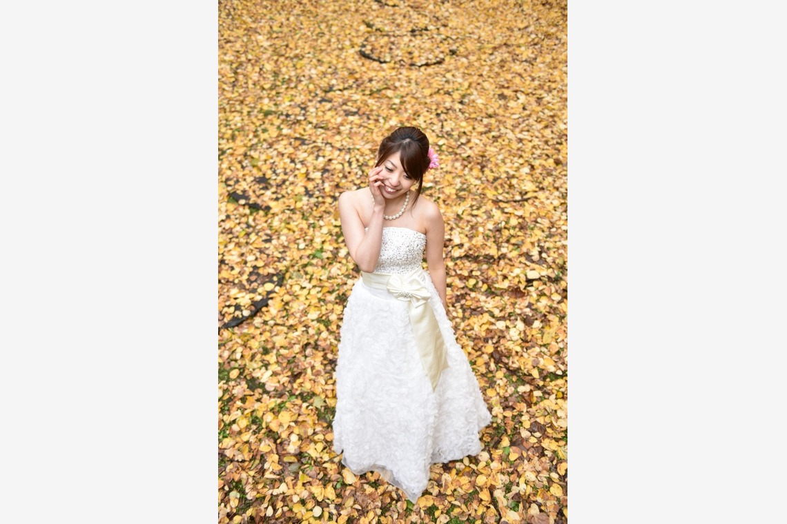 中村写真事務所が撮影した写真のアルバム「北海道旭川市神楽岡公園」