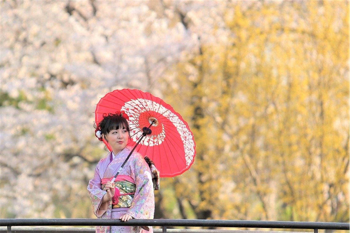 Photographer  Tomoが撮影した「成人の日」の写真