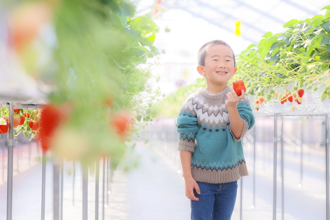 株式会社Neo-Smile 「locationbreeze」高橋 徹が撮影した「かがやきいちご園様（広告撮影）」の写真