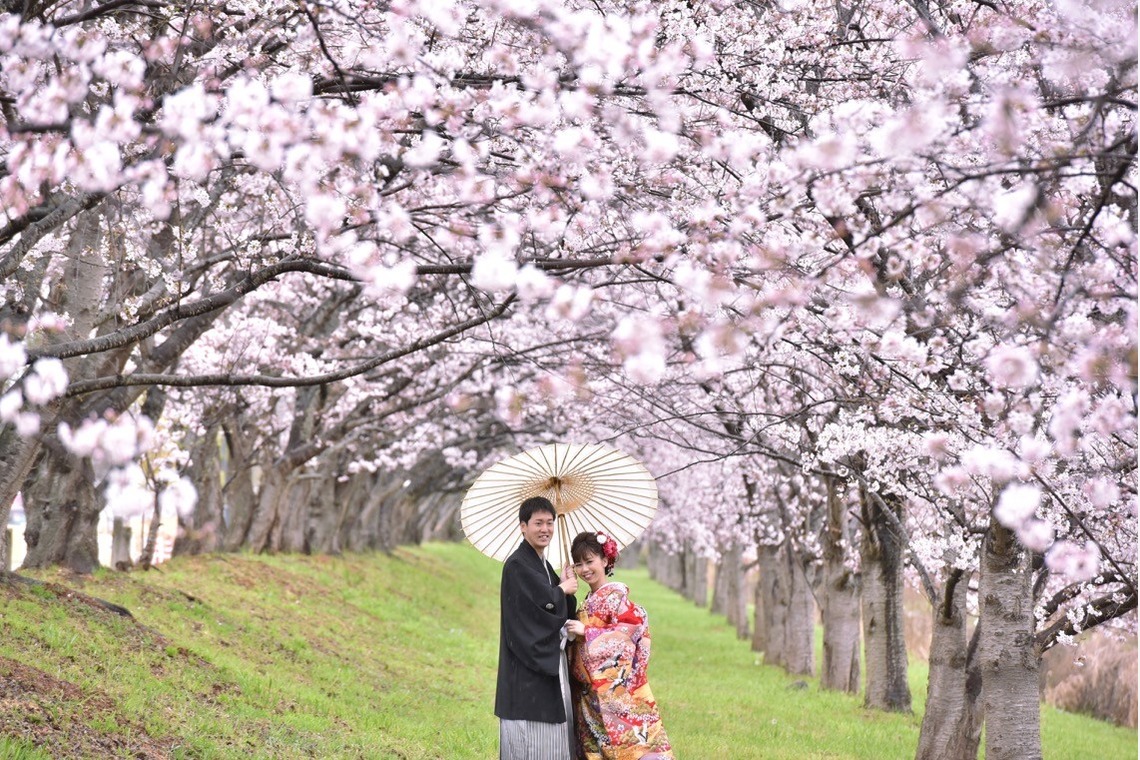 キキフォトワークスが撮影した「桜の季節の和装前撮り」の写真