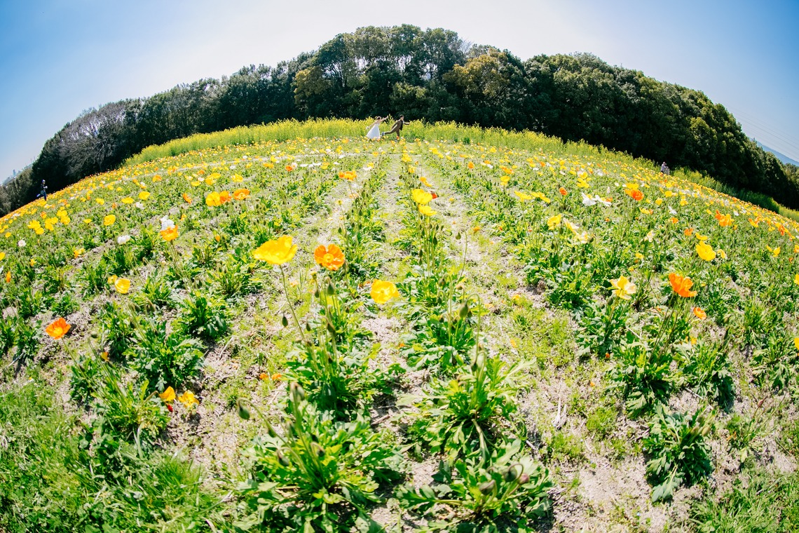 Tomi Photo Studioが撮影した「ロケーション写真」の写真