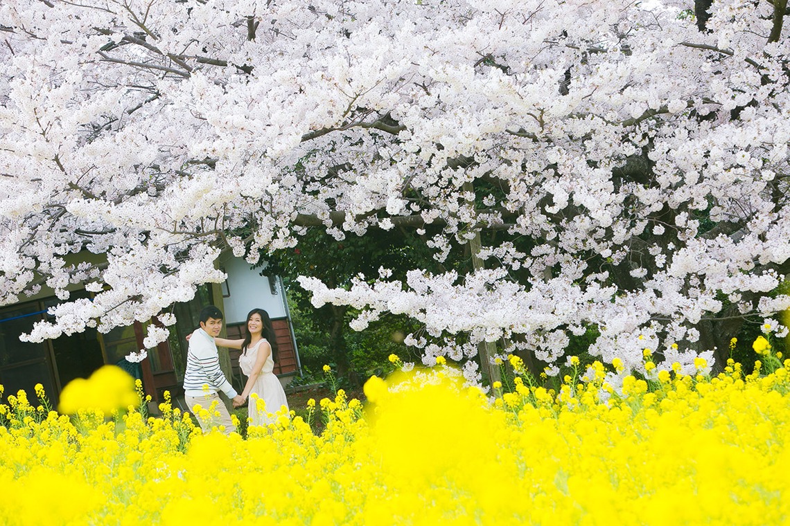 Feel So High! Kenichi Morinaga photography