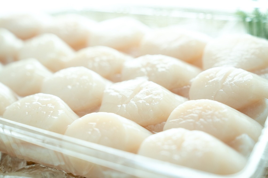 Photography_KanaUが撮影した「魚屋（豊洲市場）」の写真