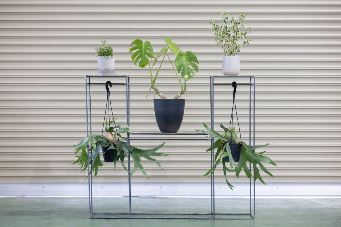 梅田　紫邑が撮影した写真のアルバム「物撮り撮影」