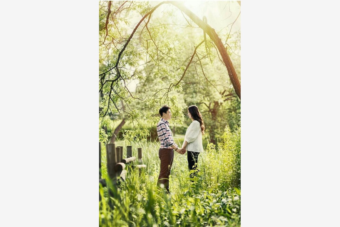 Lee bridalが撮影した写真のアルバム「ソウル市内公園ロケ」