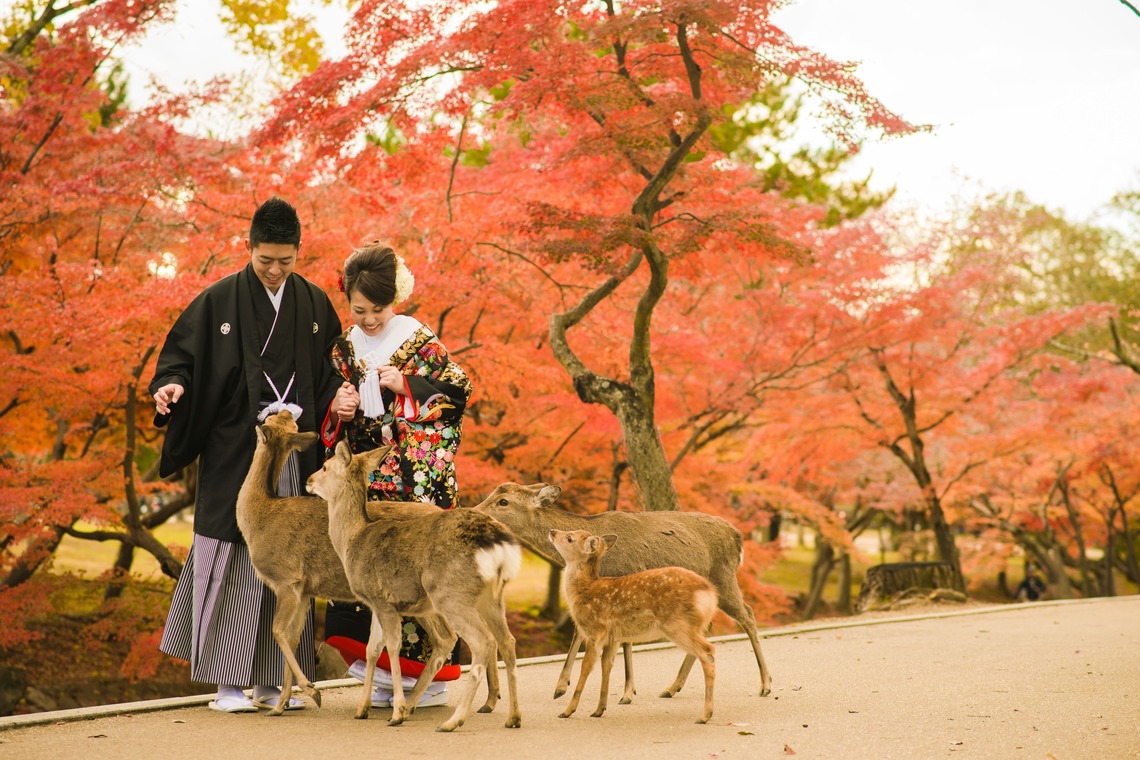 Photo of  taken by studio zero