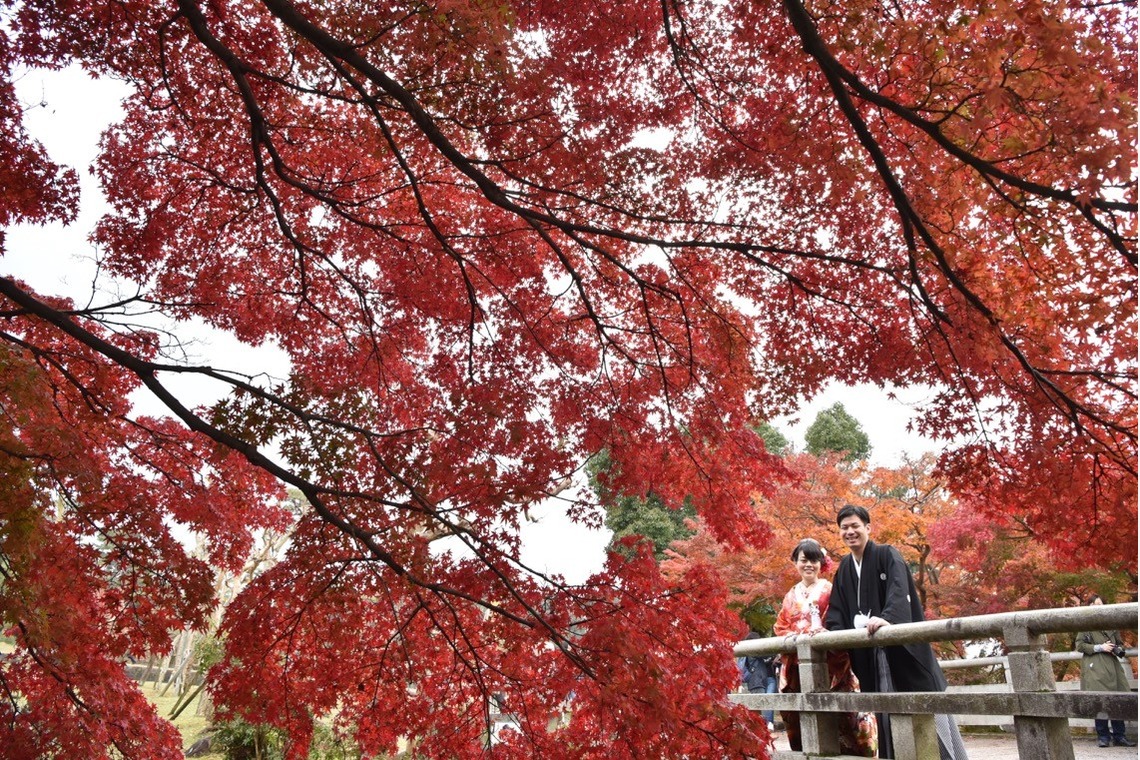キキフォトワークスが撮影した「Pre Weddingphotoshoot at Nara with kimono in autumn to winter」の写真