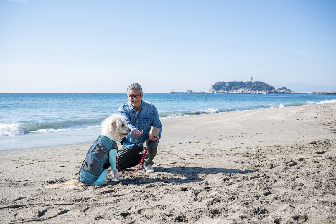 吉田佳央が撮影した「DOG SHOOTING」の写真