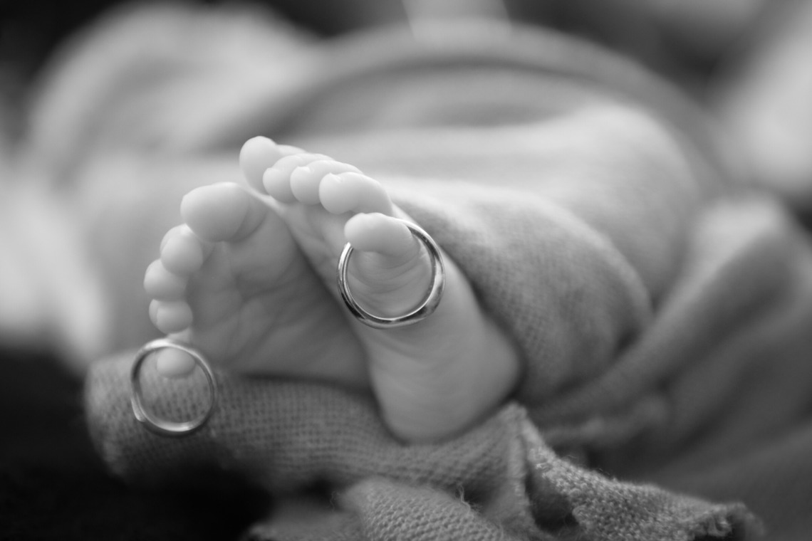 アラタンホヤガが撮影した写真のアルバム「ニューボーンフォト」