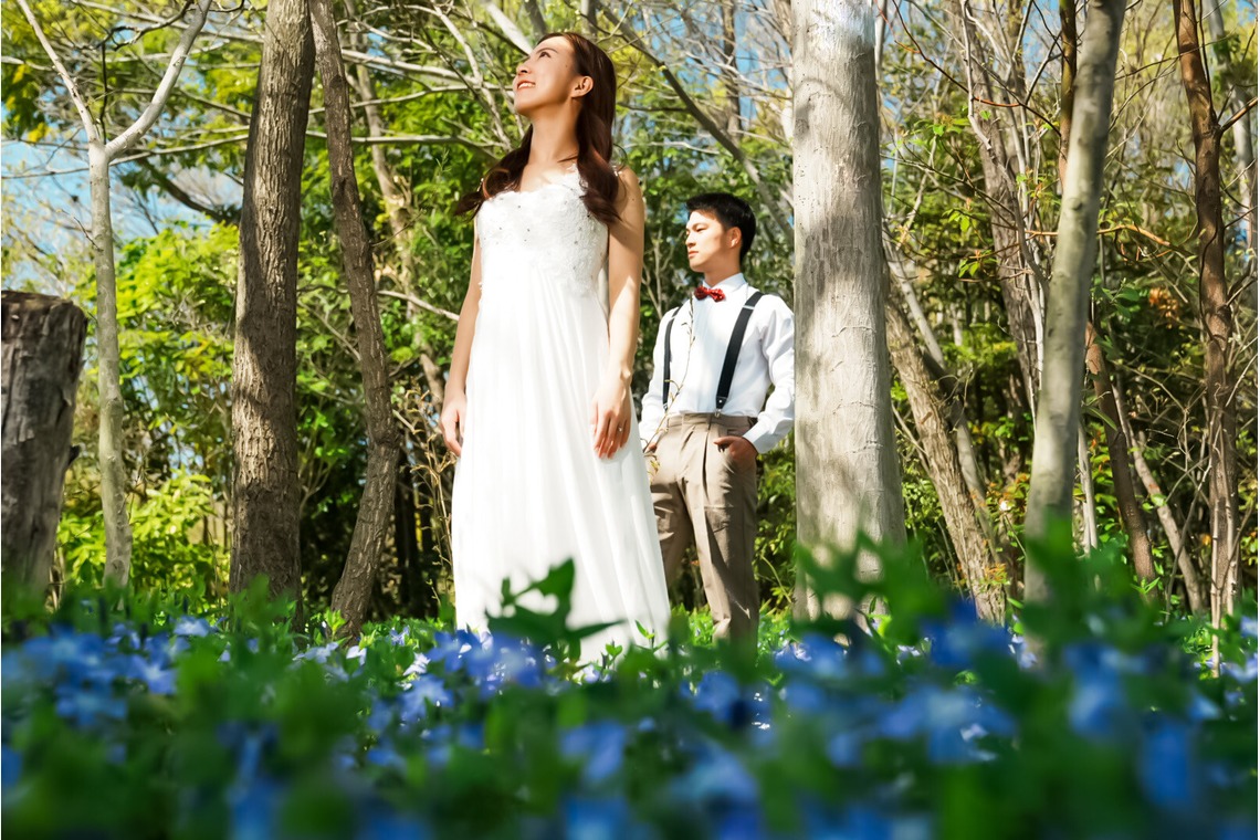 Photo of Shinmaiko Marine Park, Todagawa Ryokuchi Park taken by 秋山諒輔