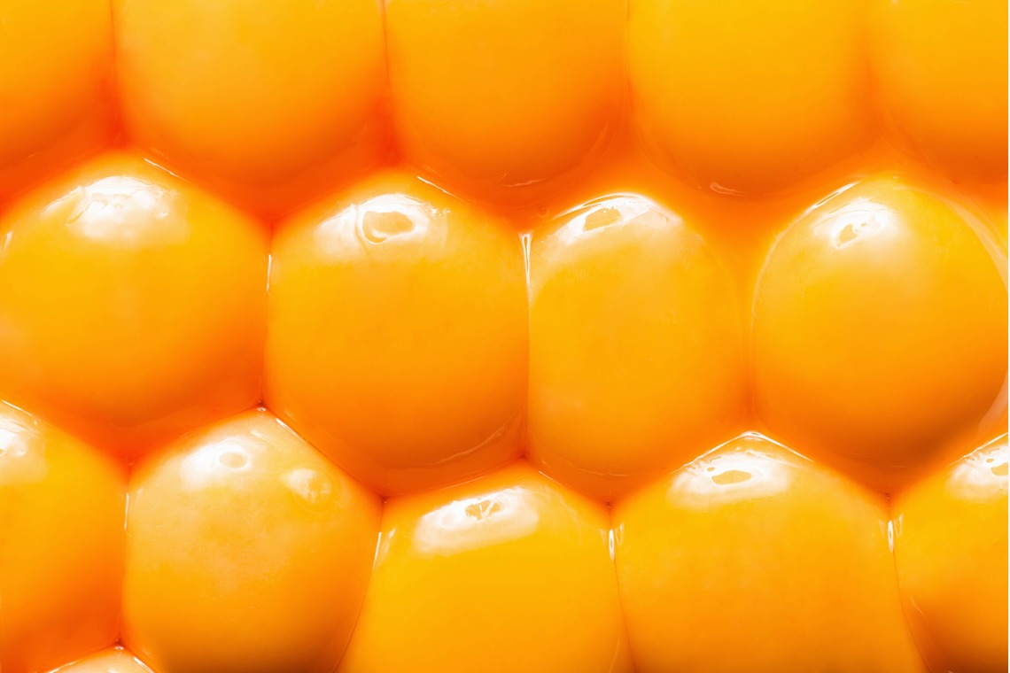 スタジオ11が撮影した写真のアルバム「様々な料理写真」