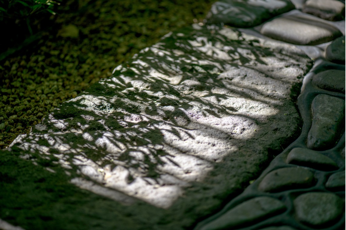 スタジオ桜が撮影した「竣工撮影」の写真