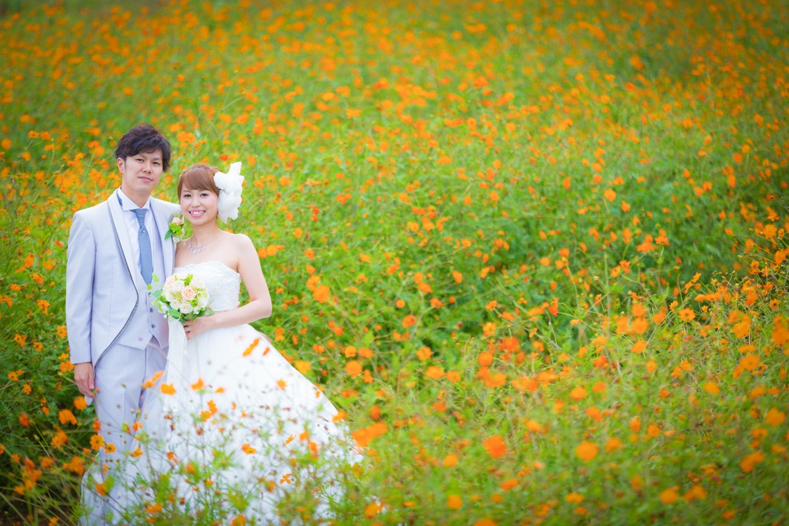 studio HATOYAが撮影した「婚礼写真7」の写真