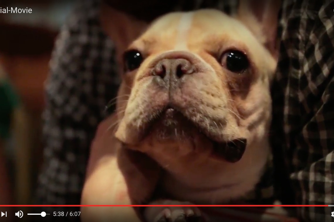 Photo of メモリアル・ムービー taken by shogo filmmaker