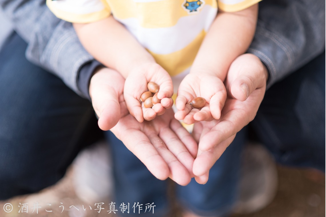 酒井こうへい写真製作所が撮影した写真のアルバム「公園でファミリーフォト」