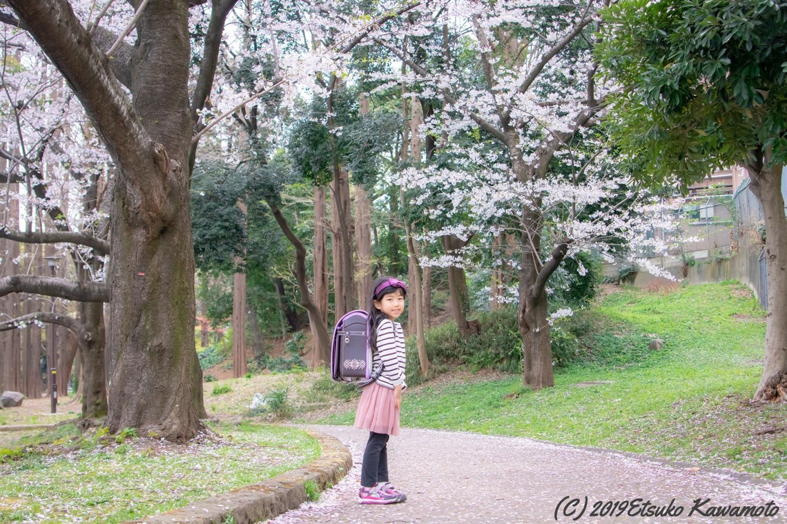 かわもとえつこが撮影した「ファミリーフォト」の写真