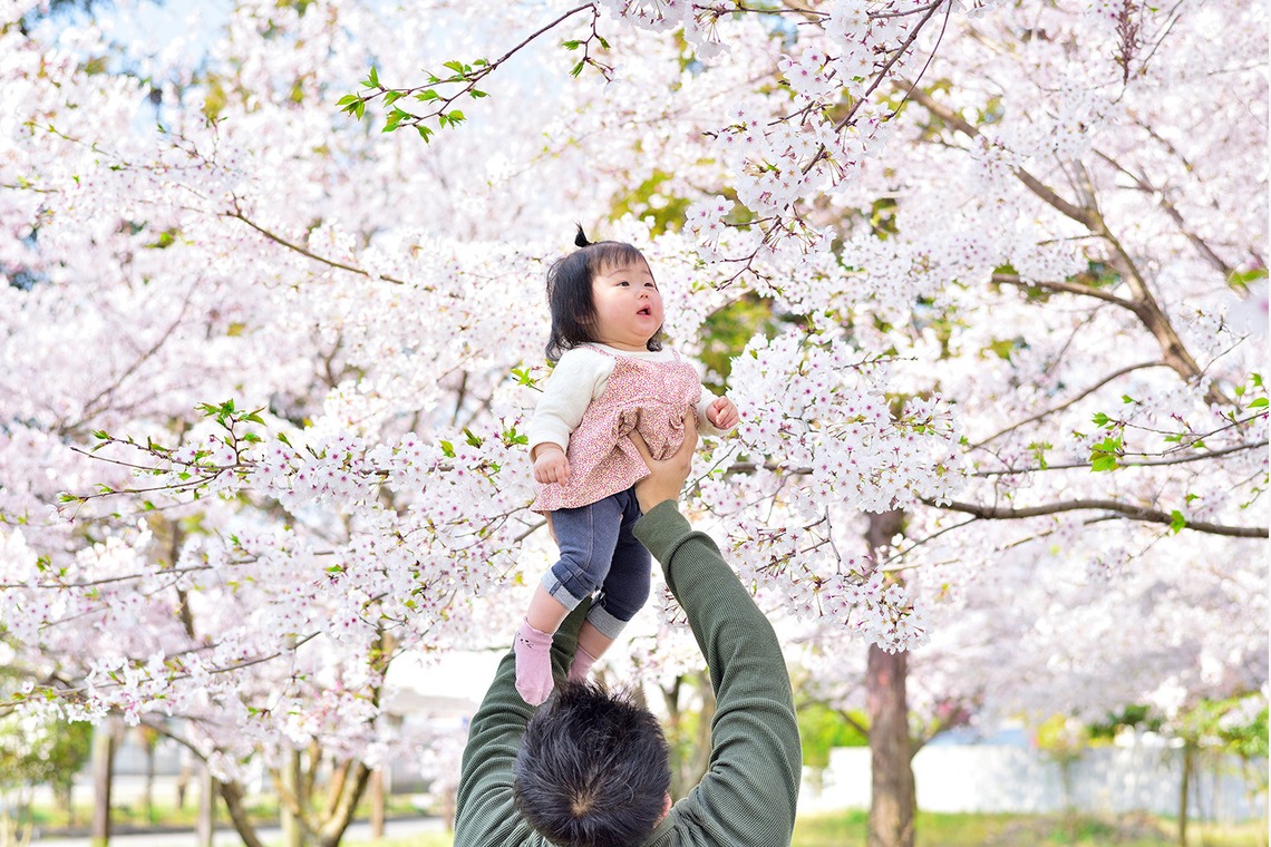 Design studio lumière（井上 敦仁）が撮影した写真のアルバム「みんなでお花見」