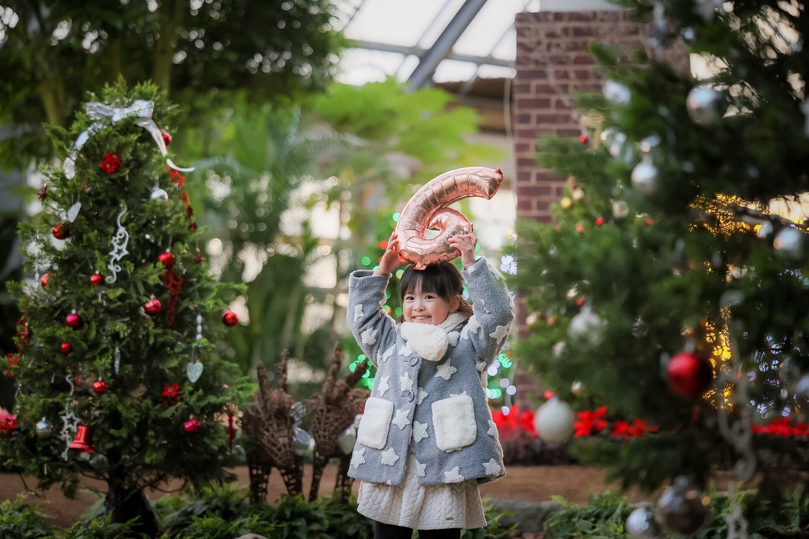 株式会社Neo-Smile 「locationbreeze」高橋 徹が撮影した「記念写真」の写真