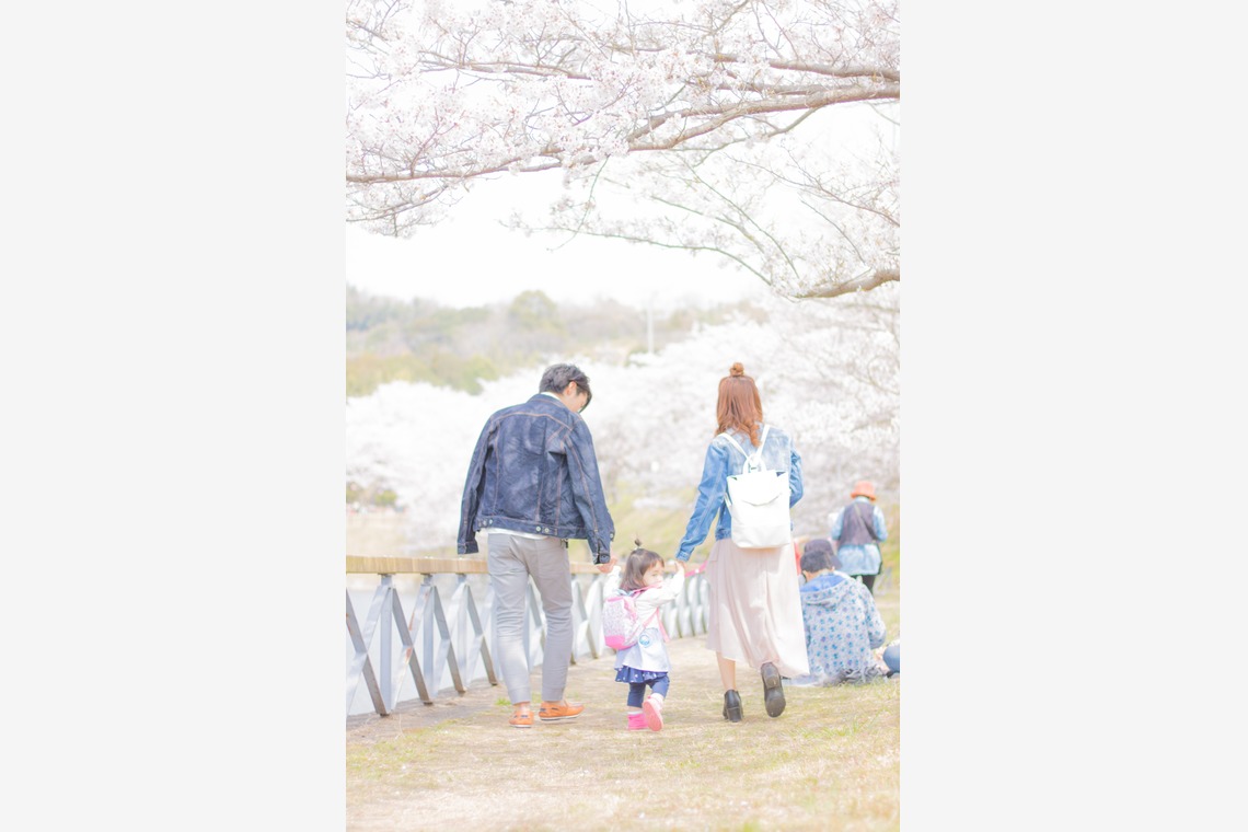 ゆのみふぉとが撮影した家族写真の出張撮影のアルバム「桜とお写真」