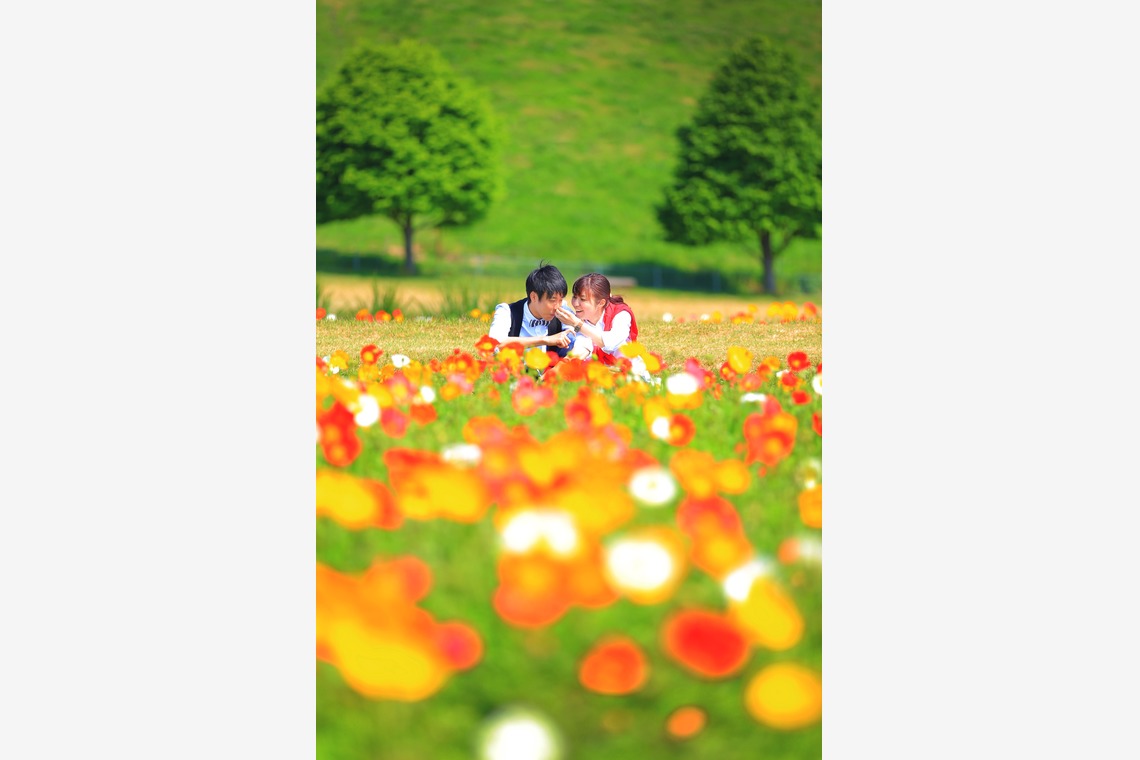 STUDIO Giroux (木下令)が撮影した「フォトギャラリー」の写真