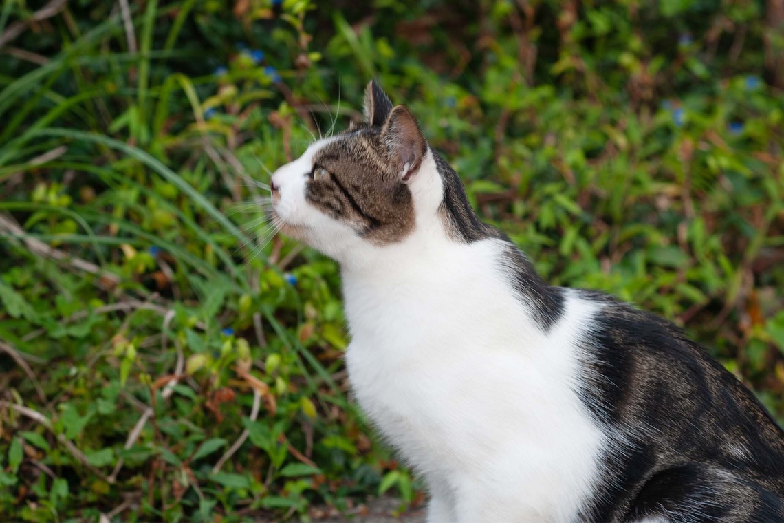 十時写真事務所