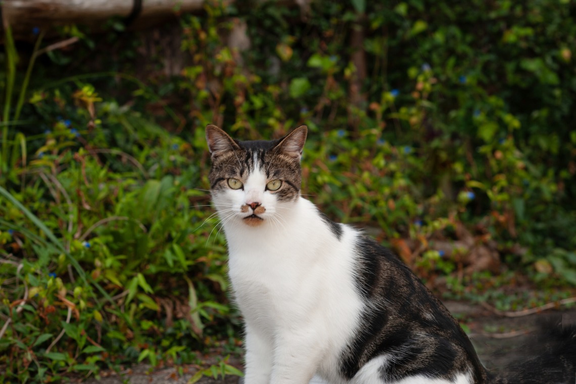 十時写真事務所