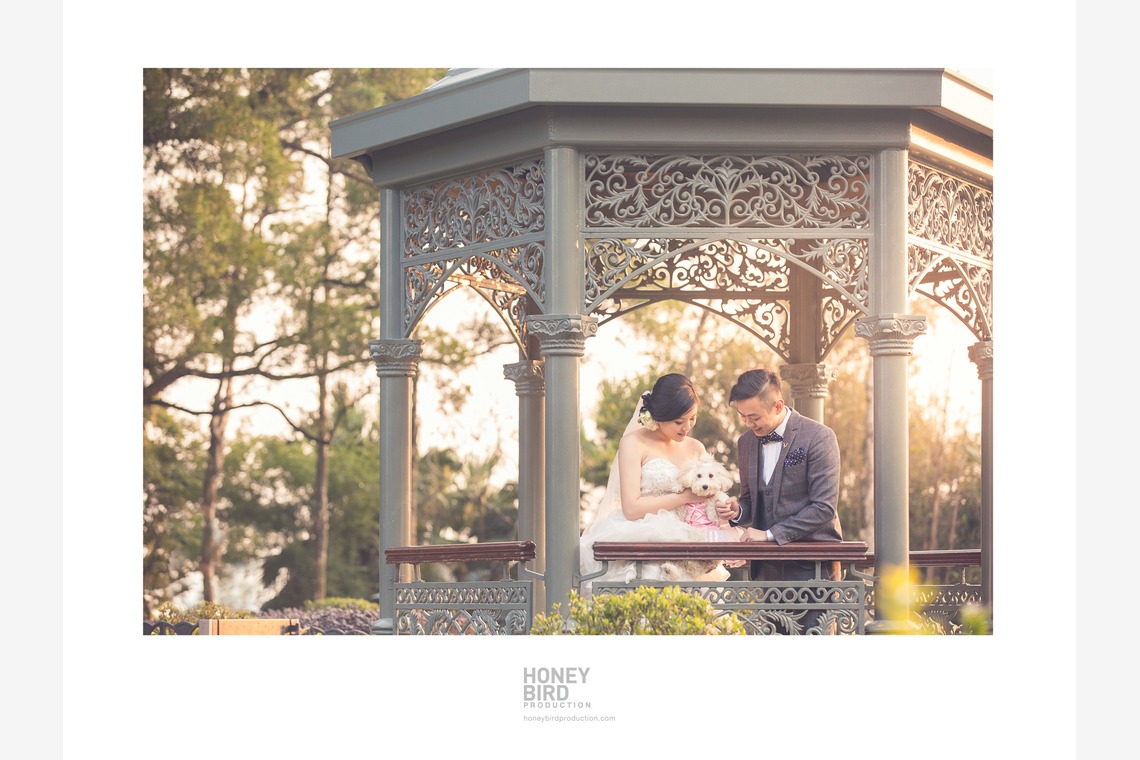 Photo of  taken by Honeybird Production Wedding Photography