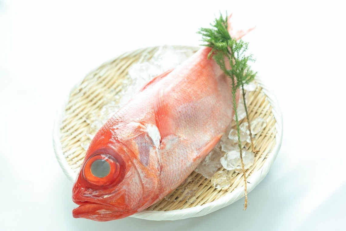 Photography_KanaUが撮影した「魚屋（豊洲市場）」の写真