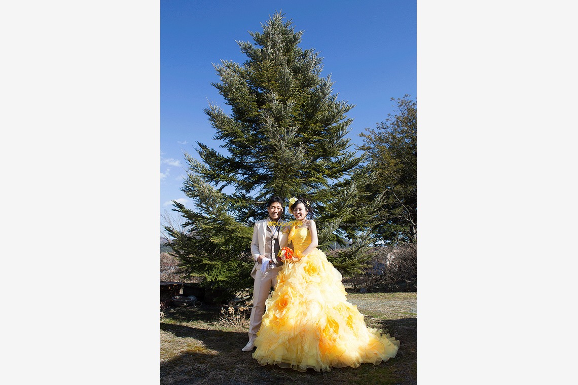 あらじんのらんぷ