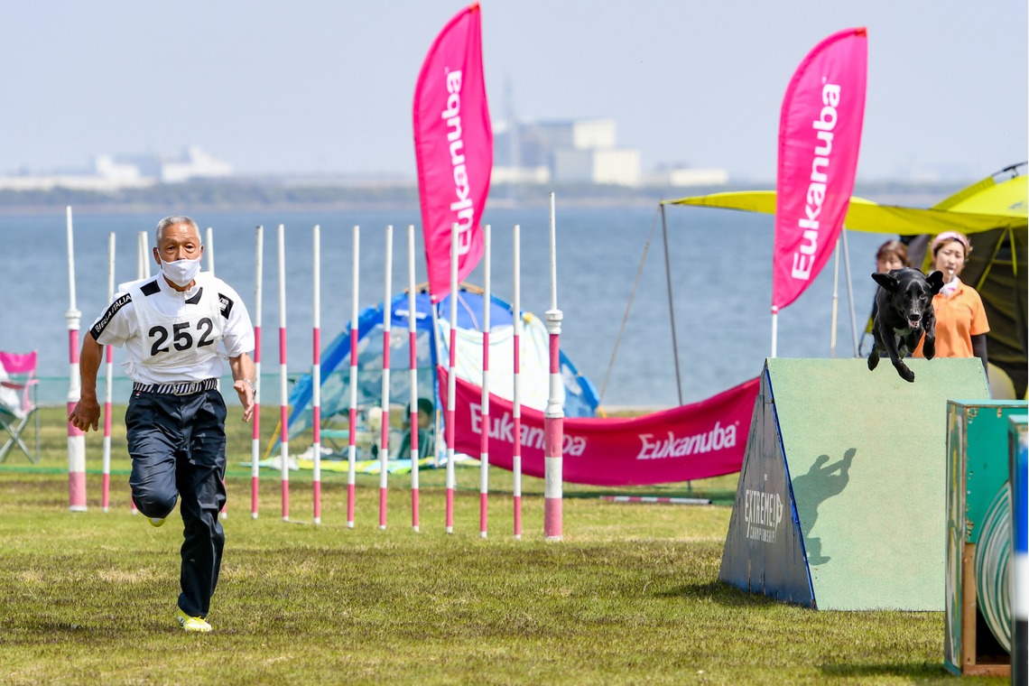 スタジオファンタスが撮影した「ドッグスポーツエクストリーム」の写真