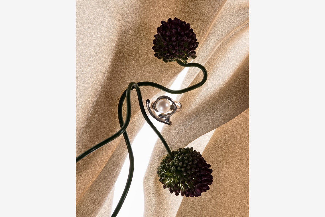 Hiroshi Horiが撮影した「スチルライフ」の写真