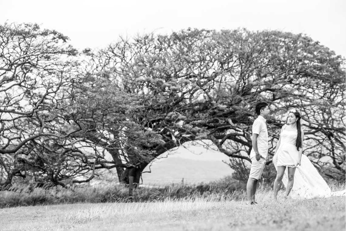 Photo of  taken by 2Cconcept,inc