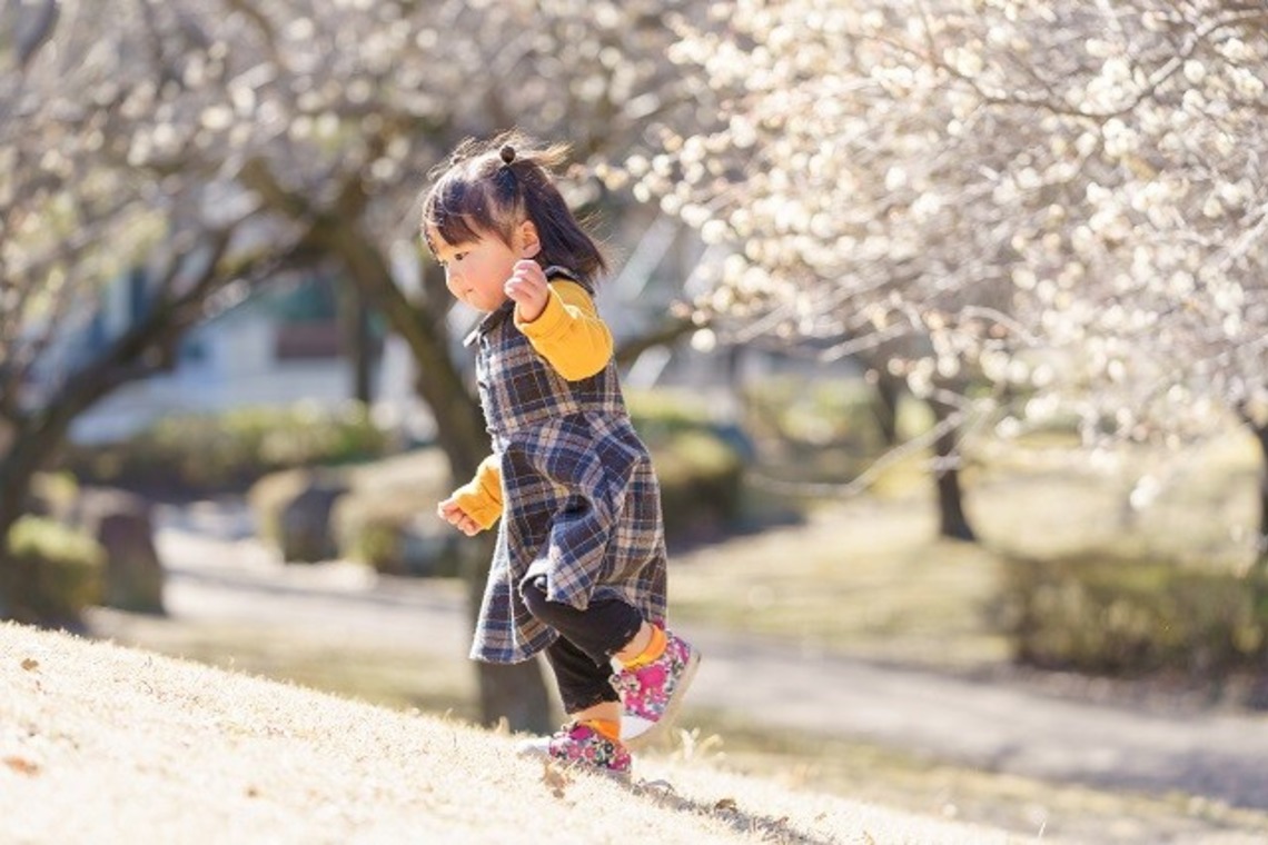 しのみんこフォトが撮影した「お誕生日・初節句・結婚記念日・旅行・スポーツなど」の写真