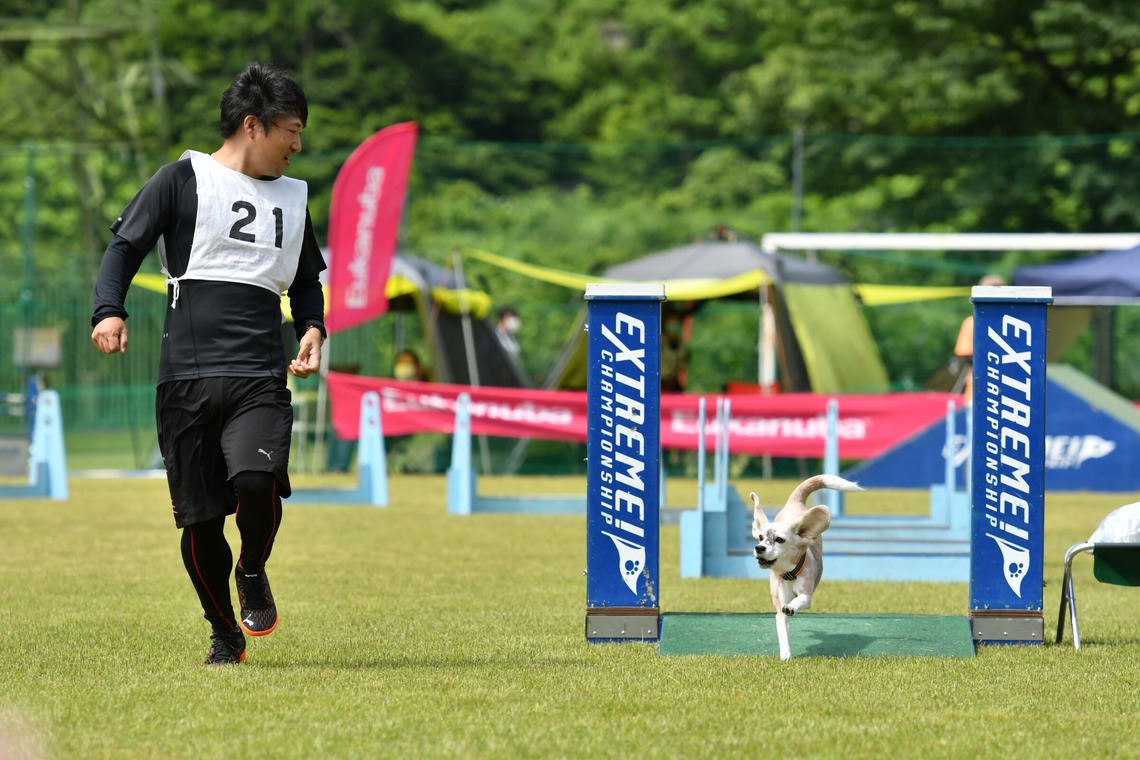 スタジオファンタスが撮影した「ドッグスポーツエクストリーム」の写真