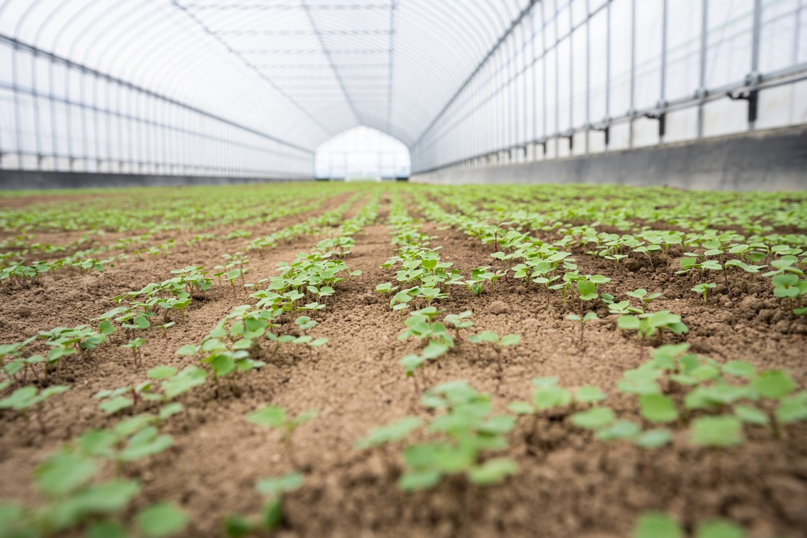 出張撮影TLaboが撮影した「求人用　職場風景の撮影」の写真