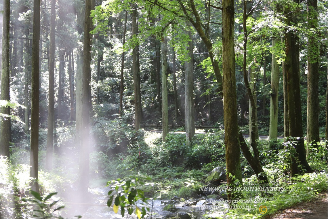 堀越正郎が撮影した「Photographer堀越正郎」の写真